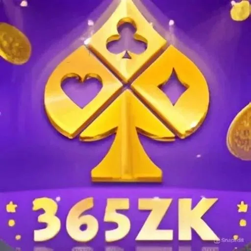 365ZK - Aplikasi Chat Encrypted Terbaik untuk Sosial dan Chat